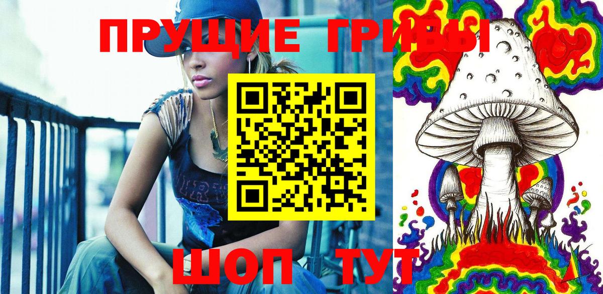 Псилоцибиновые грибы Psilocybe Губаха